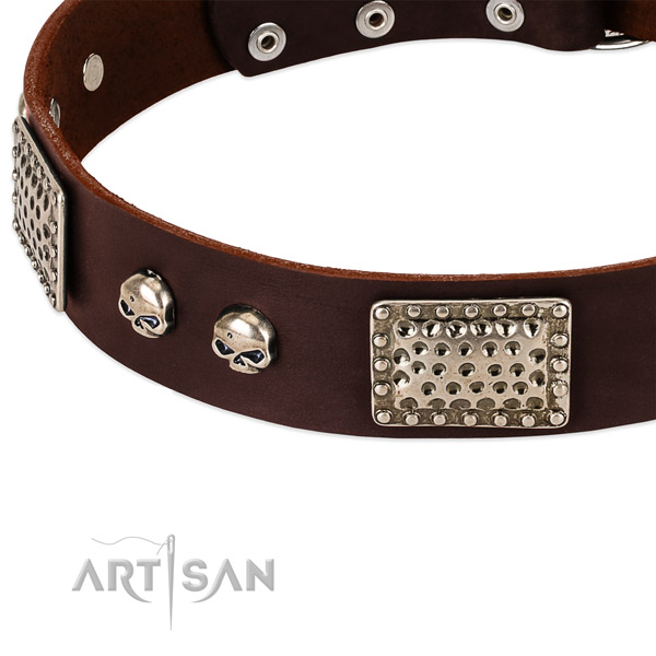 Strong buckle on leather dog collar for your four-legged friend