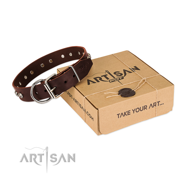Rust-proof buckle on dog collar for everyday use