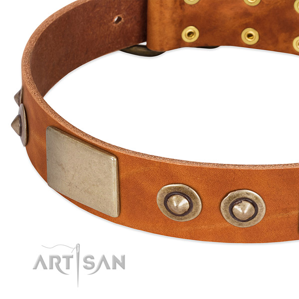 Rust resistant studs on natural genuine leather dog collar for your canine