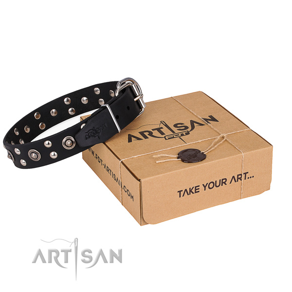 Walking dog collar with Exceptional corrosion proof adornments