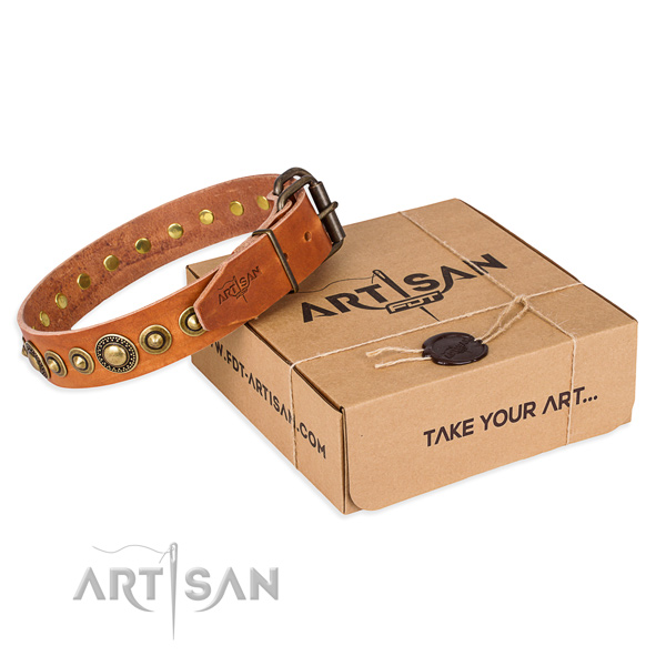 Reliable genuine leather dog collar created for stylish walking