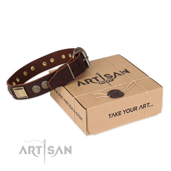 Rust-proof buckle on full grain natural leather dog collar for basic training