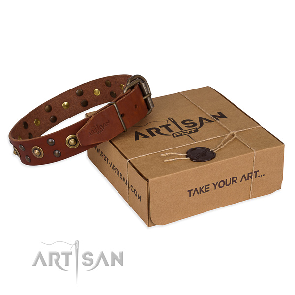 Rust-proof buckle on leather collar for your handsome dog