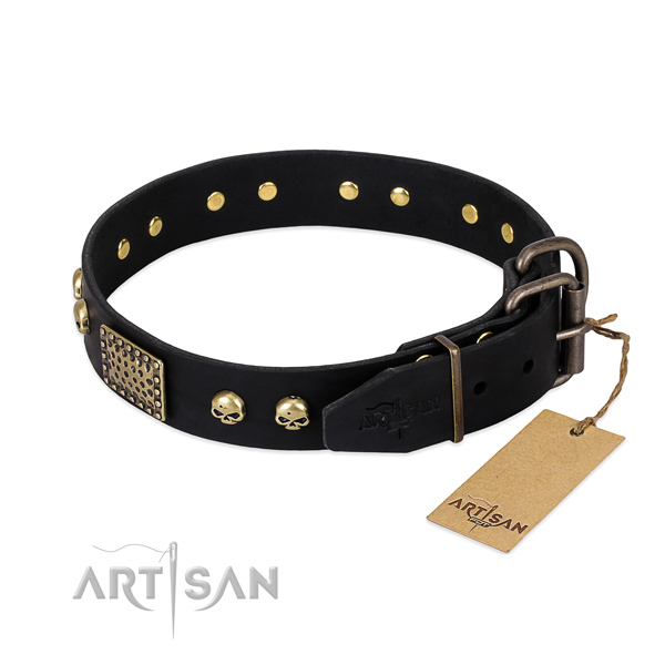 Corrosion resistant adornments on easy wearing dog collar