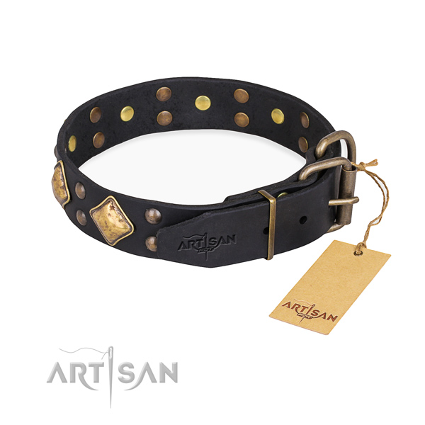 Leather dog collar with inimitable durable embellishments