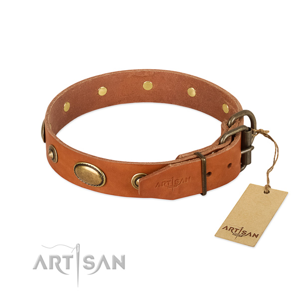 Strong buckle on full grain genuine leather dog collar for your four-legged friend