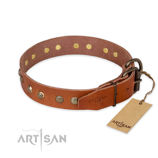 Reliable D-ring on leather collar for your impressive four-legged friend