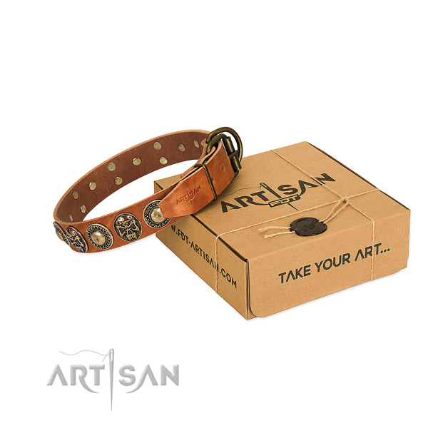 Rust resistant decorations on dog collar for comfy wearing