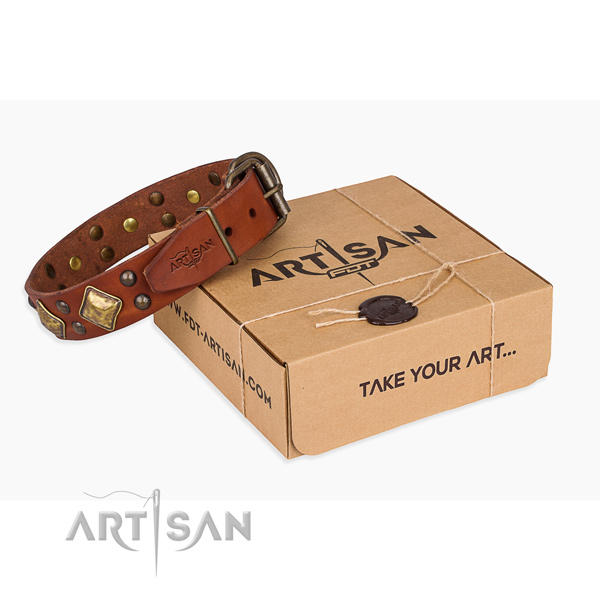 Stylish walking dog collar with Extraordinary rust-proof adornments