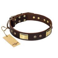 "Rich Fashion" FDT Artisan Decorated Leather American Bulldog Collar with Plates and Studs (image for) "Rich Fashion" FDT Artisan Decorated Leather American Bulldog Collar with Plates and Studs