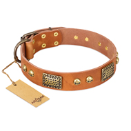 "Saucy Nature" FDT Artisan Tan Leather American Bulldog Collar with Old Bronze Look Plates and Skulls (image for) "Saucy Nature" FDT Artisan Tan Leather American Bulldog Collar with Old Bronze Look Plates and Skulls