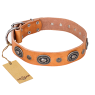 "Twinkle Twinkle" FDT Artisan Incredible Studded Tan Leather American Bulldog Collar (image for) "Twinkle Twinkle" FDT Artisan Incredible Studded Tan Leather American Bulldog Collar