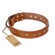"Spring Flavor" FDT Artisan Adorned Leather American Bulldog Collar with Old Bronze-Plated Engraved Studs (image for) "Spring Flavor" FDT Artisan Adorned Leather American Bulldog Collar with Old Bronze-Plated Engraved Studs