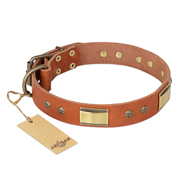 "Enchanting Spectacle" FDT Artisan Tan Leather American Bulldog Collar with Old Bronze Look Plates and Round Studs (image for) "Enchanting Spectacle" FDT Artisan Tan Leather American Bulldog Collar with Old Bronze Look Plates and Round Studs