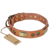 "Lost Desert" FDT Artisan Leather American Bulldog Collar with Brass Decorations (image for) "Lost Desert" FDT Artisan Leather American Bulldog Collar with Brass Decorations