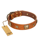 "Celtic Tunes" FDT Artisan Tan Leather American Bulldog Collar Adorned with Stars and Squares (image for) "Celtic Tunes" FDT Artisan Tan Leather American Bulldog Collar Adorned with Stars and Squares