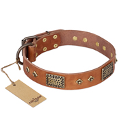 "Catchy Look" FDT Artisan Decorated Tan Leather American Bulldog Collar (image for) "Catchy Look" FDT Artisan Decorated Tan Leather American Bulldog Collar
