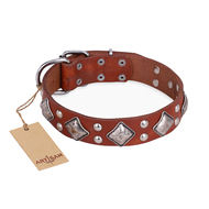 "Magic Squares" FDT Artisan Tan Leather American Bulldog Collar with Silver-like Decor (image for) "Magic Squares" FDT Artisan Tan Leather American Bulldog Collar with Silver-like Decor