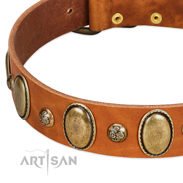 Natural leather dog collar with inimitable adornments