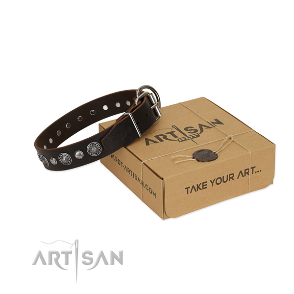 Reliable genuine leather dog collar with fashionable embellishments