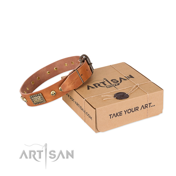Strong adornments on dog collar for stylish walking