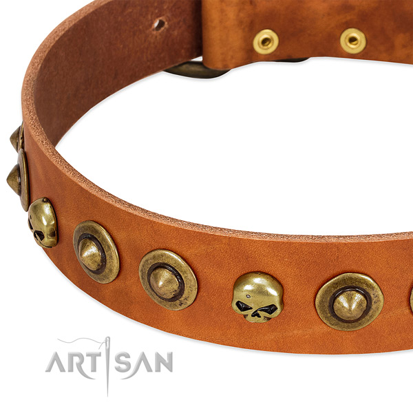 Stylish studs on full grain natural leather collar for your pet