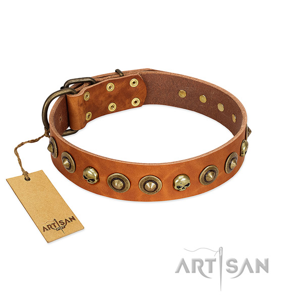 Leather collar with exquisite embellishments for your four-legged friend