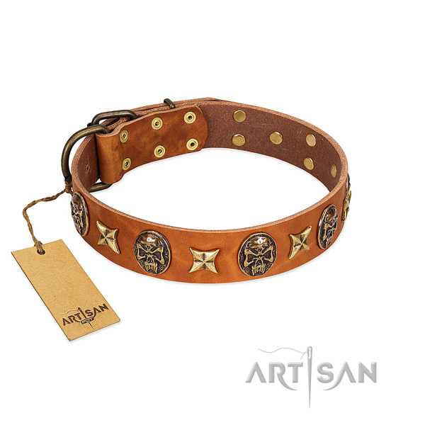 Amazing leather collar for your pet
