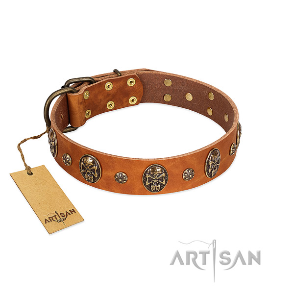 Extraordinary genuine leather collar for your pet