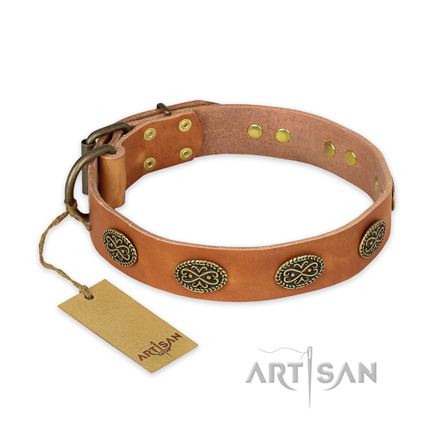 Adorned genuine leather dog collar with rust-proof fittings