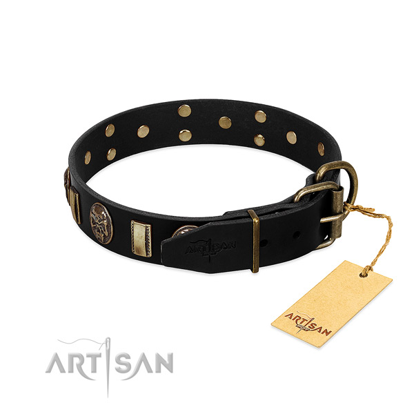 Full grain natural leather dog collar with reliable D-ring and embellishments