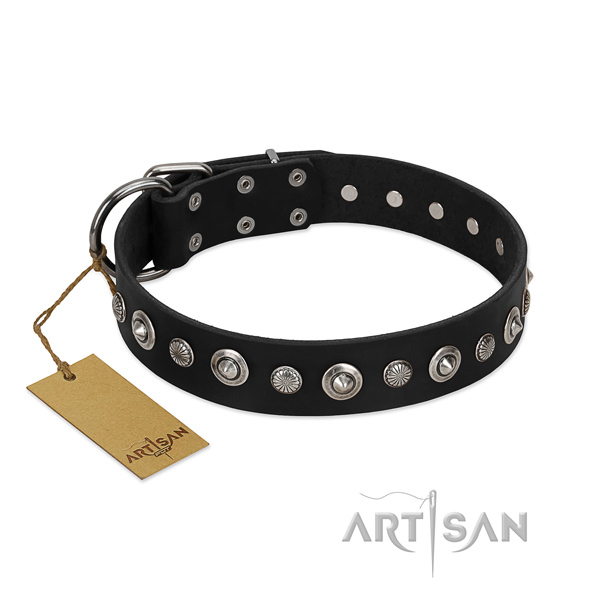 Quality full grain genuine leather dog collar with top notch embellishments