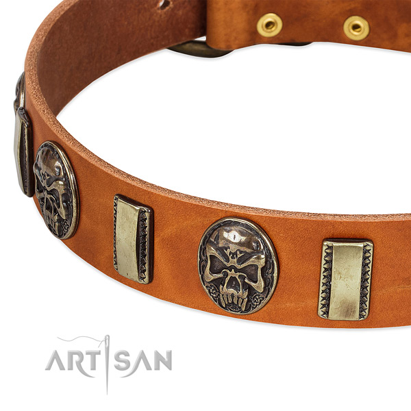 Corrosion proof traditional buckle on full grain leather dog collar for your four-legged friend