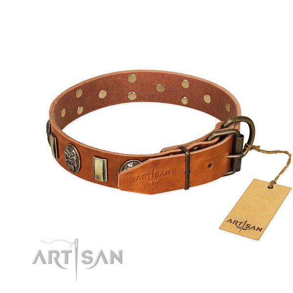 Full grain genuine leather dog collar with strong buckle and studs