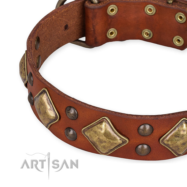 Genuine leather collar with corrosion proof hardware for your stylish canine