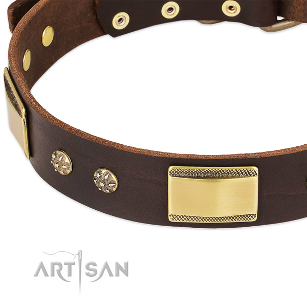 Durable D-ring on genuine leather dog collar for your pet