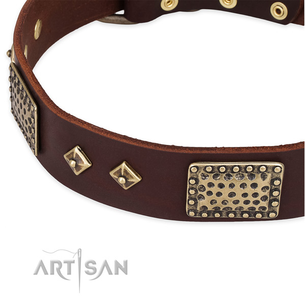 Reliable adornments on leather dog collar for your four-legged friend