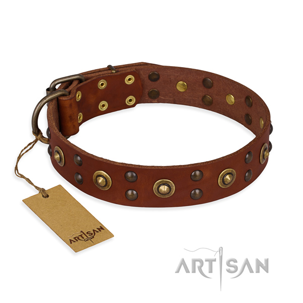 Top notch full grain natural leather dog collar with durable buckle