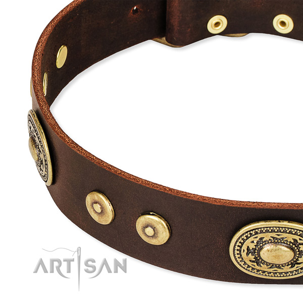 Embellished dog collar made of reliable full grain natural leather