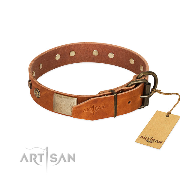 Rust resistant D-ring on daily walking dog collar
