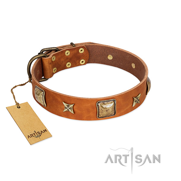 Designer leather collar for your dog