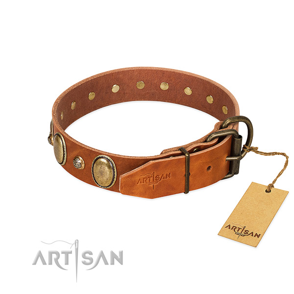 Exquisite leather dog collar with rust-proof buckle