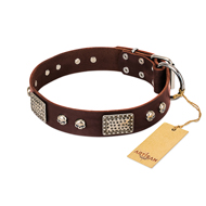 "Pirate Skull" FDT Artisan Brown Leather American Bulldog Collar with Old Silver Look Plates and Skulls (image for) "Pirate Skull" FDT Artisan Brown Leather American Bulldog Collar with Old Silver Look Plates and Skulls