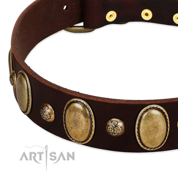 Full grain genuine leather dog collar with significant studs