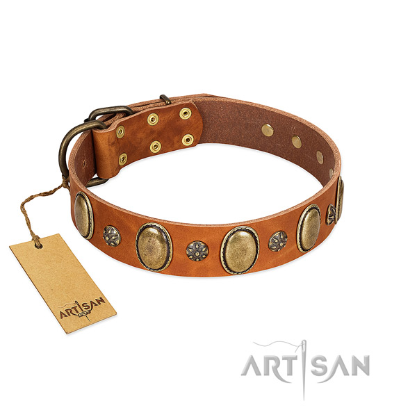 Everyday walking reliable full grain natural leather dog collar with decorations