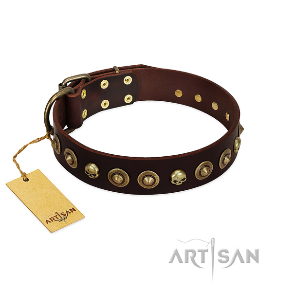 Full grain genuine leather collar with unusual adornments for your doggie
