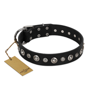 "Genteel Charm" FDT Artisan Black Leather American Bulldog Collar with Silver-like Round Conchos (image for) "Genteel Charm" FDT Artisan Black Leather American Bulldog Collar with Silver-like Round Conchos