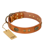 "Sun Beams" FDT Artisan Tan Leather American Bulldog Collar with Decorations (image for) "Sun Beams" FDT Artisan Tan Leather American Bulldog Collar with Decorations