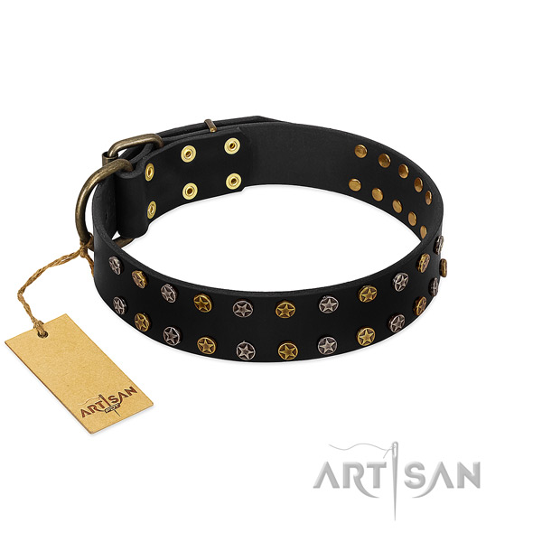 Inimitable leather dog collar with rust-proof adornments
