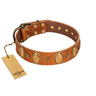 "Glossy Autumn" Designer Handmade FDT Artisan Tan Leather American Bulldog Collar with Ovals and Studs (image for) "Glossy Autumn" Designer Handmade FDT Artisan Tan Leather American Bulldog Collar with Ovals and Studs